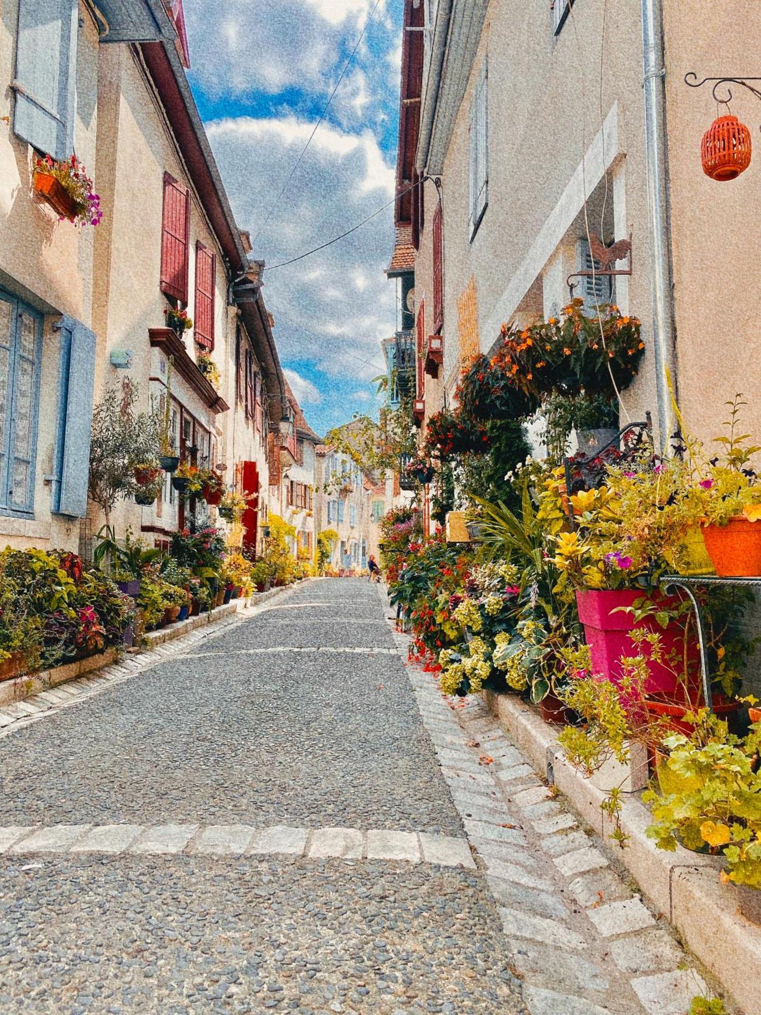 Agreable Petit Gite Avec Piscine Et Jardinet Salies-de-Béarn エクステリア 写真