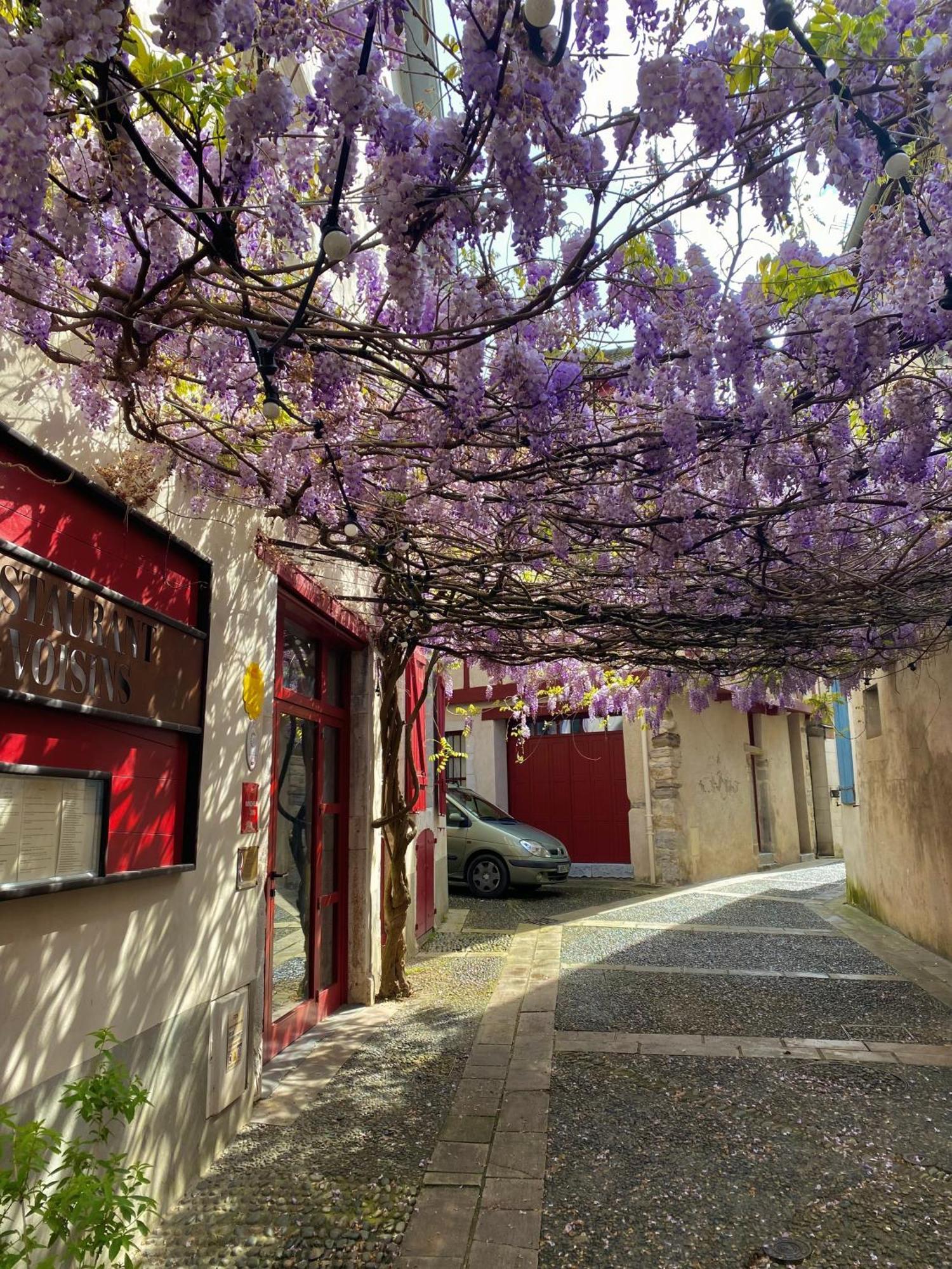 Agreable Petit Gite Avec Piscine Et Jardinet Salies-de-Béarn エクステリア 写真